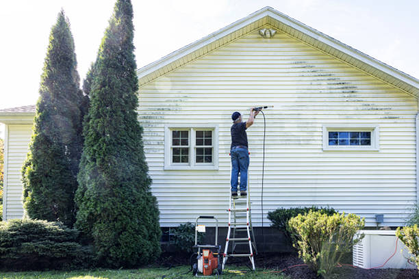 Best Pressure Washing Siding  in Flint, MI